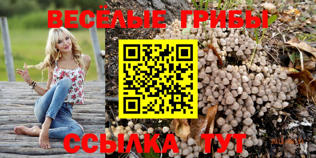 Галлюциногенные грибы ЛСД Коряжма